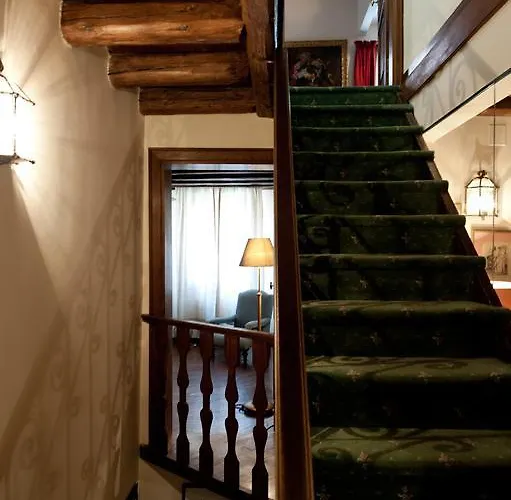 Casa Dell'albero *