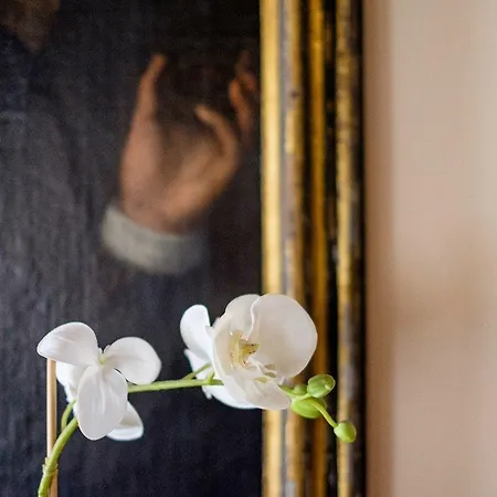 Casa Dell'albero * البندقية